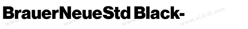 BrauerNeueStd Black字体转换